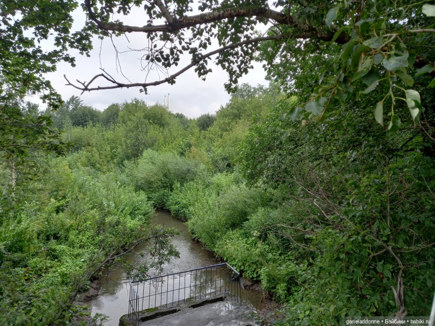 Очень странное утро Ислин (фото 8)