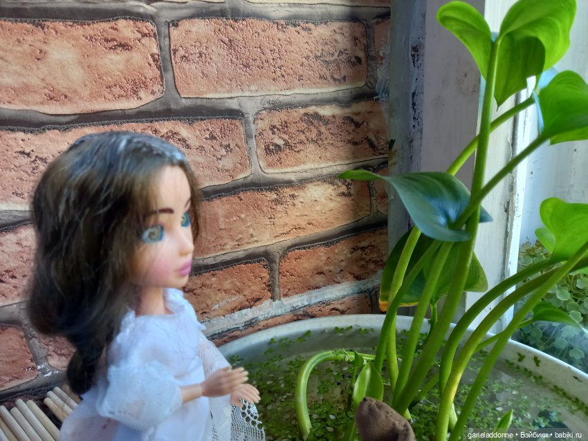 Очень странное утро Ислин