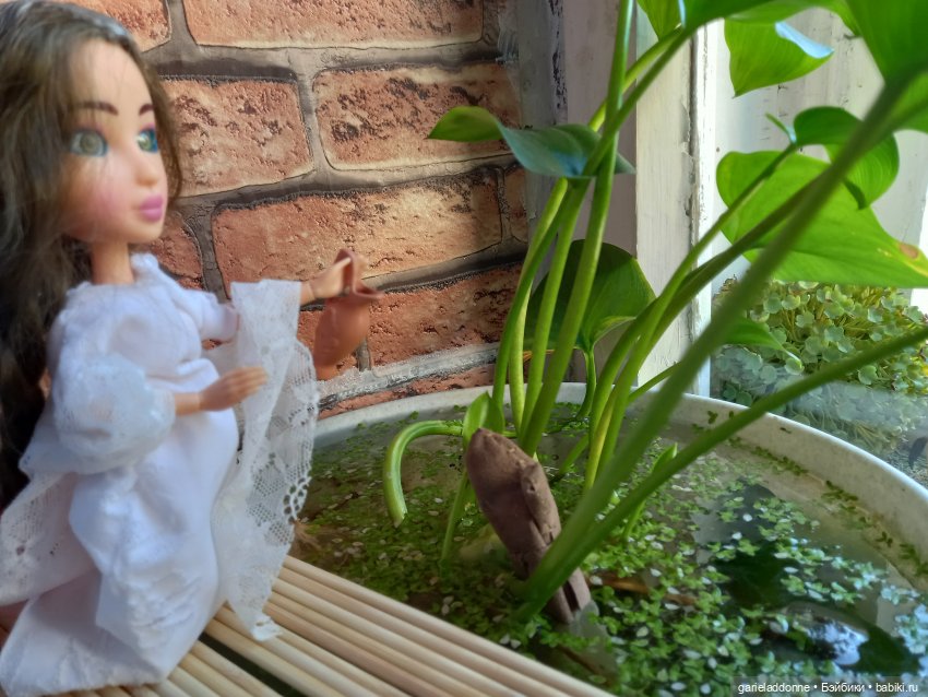 Очень странное утро Ислин