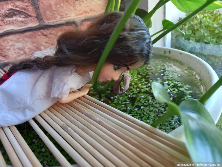 Очень странное утро Ислин