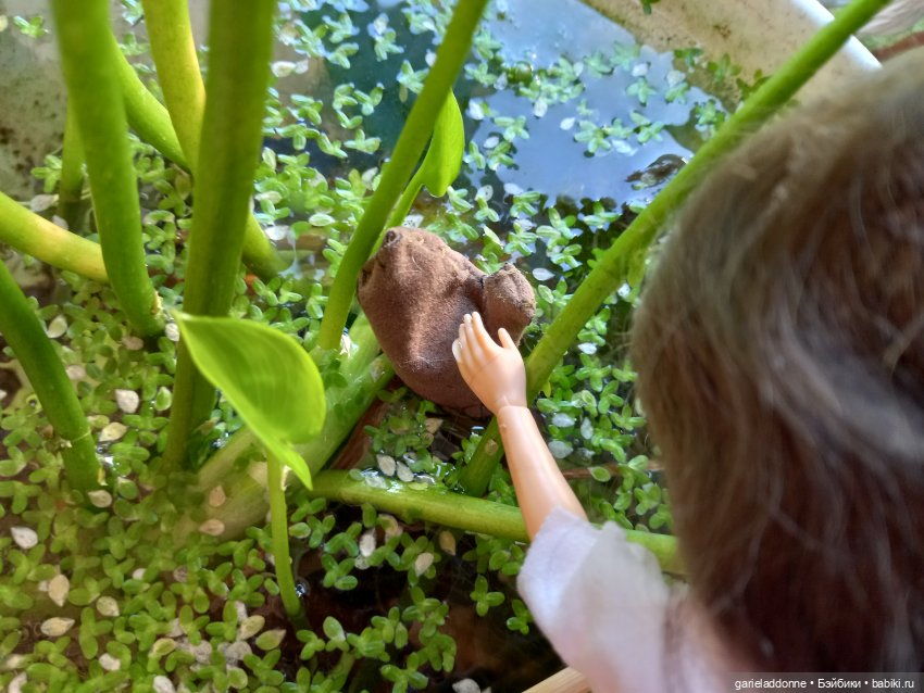 Очень странное утро Ислин