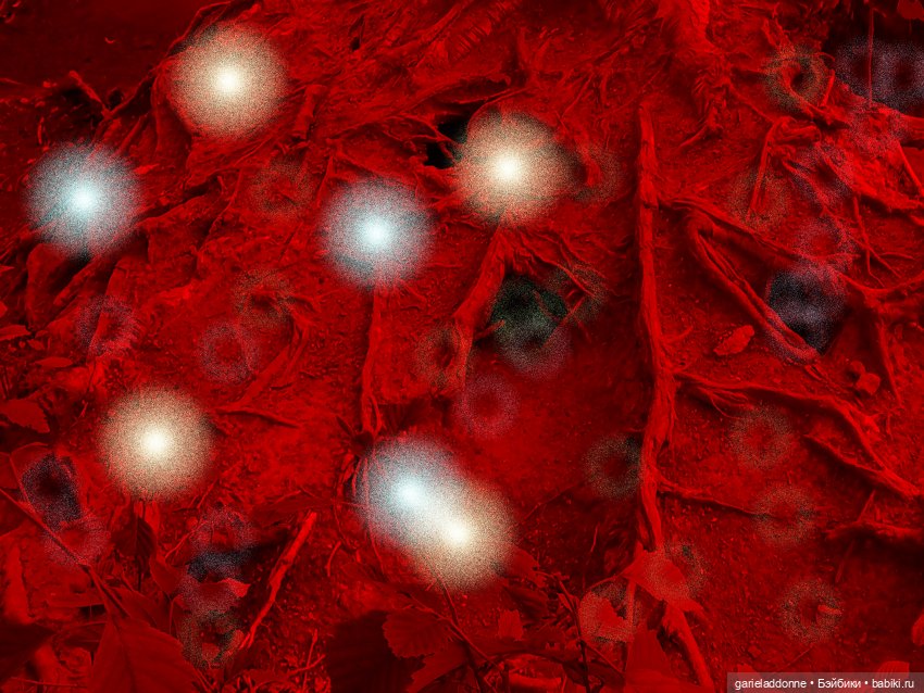 В объятьях Мары — Зарисовки из кукольной жизни: фотоистории