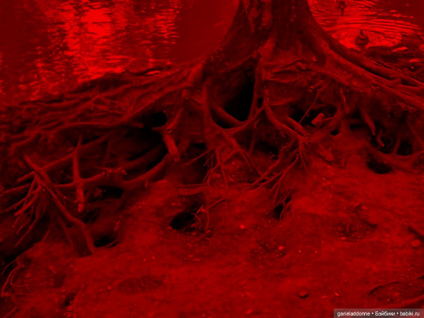 В объятьях Мары — Зарисовки из кукольной жизни: фотоистории