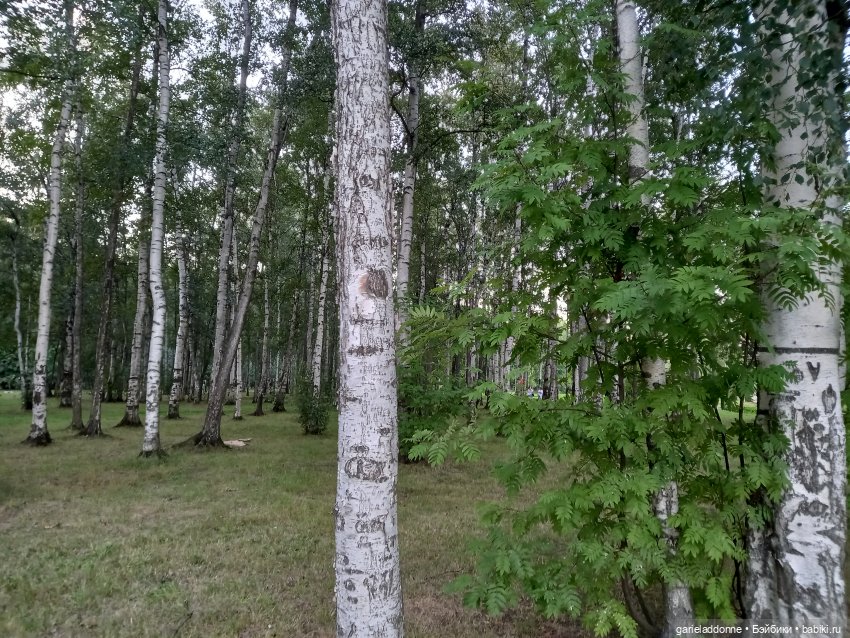 В объятьях Мары — Зарисовки из кукольной жизни: фотоистории