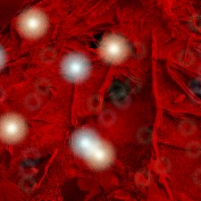 В объятьях Мары