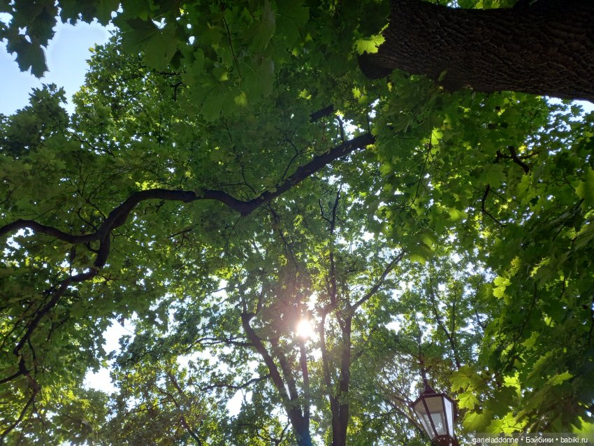 Песнь молота и наковальни