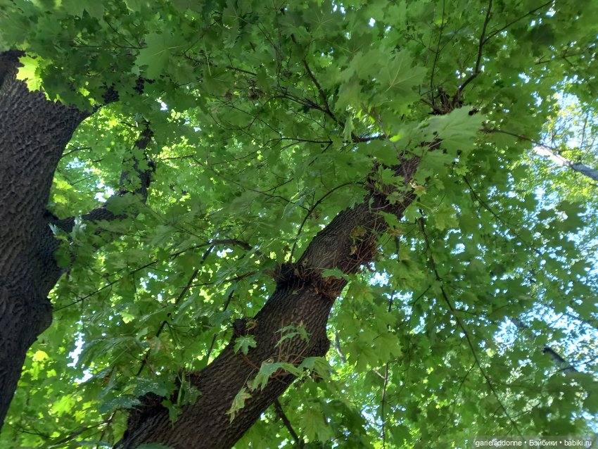 Песнь молота и наковальни