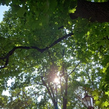 Песнь молота и наковальни