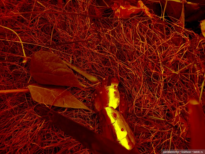 Зарисовки из кукольной жизни: фотоистории