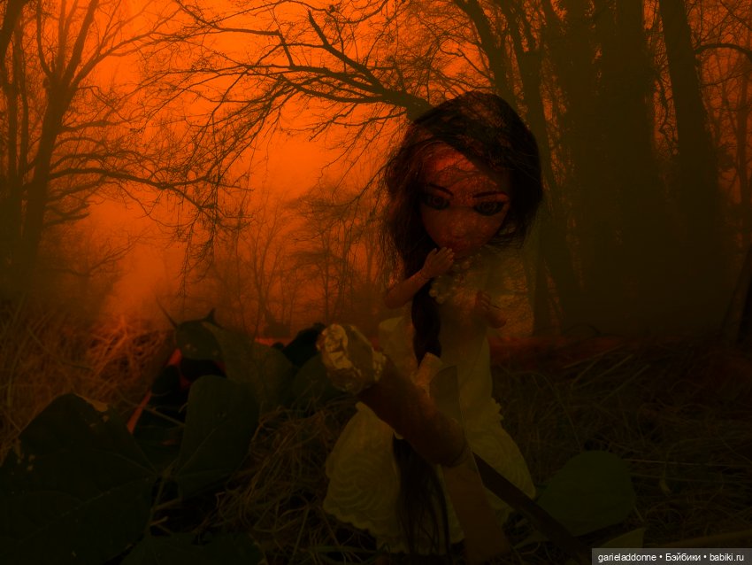 Зарисовки из кукольной жизни: фотоистории