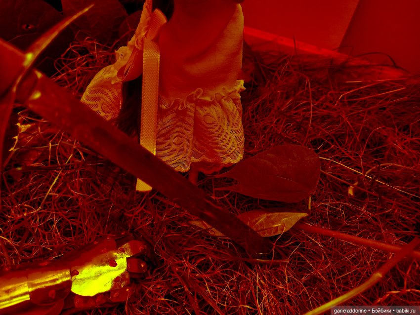 Зарисовки из кукольной жизни: фотоистории