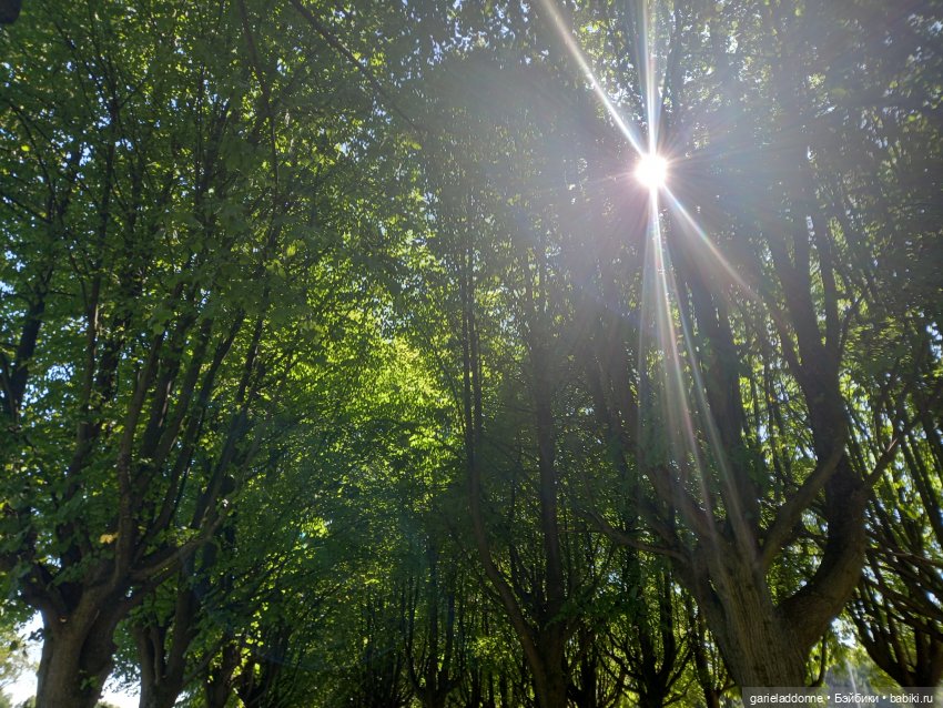 Прогулка по лесу — Зарисовки из кукольной жизни: фотоистории (фото 10)