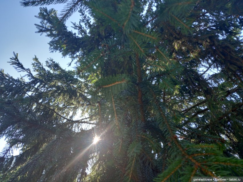 Прогулка по лесу — Зарисовки из кукольной жизни: фотоистории