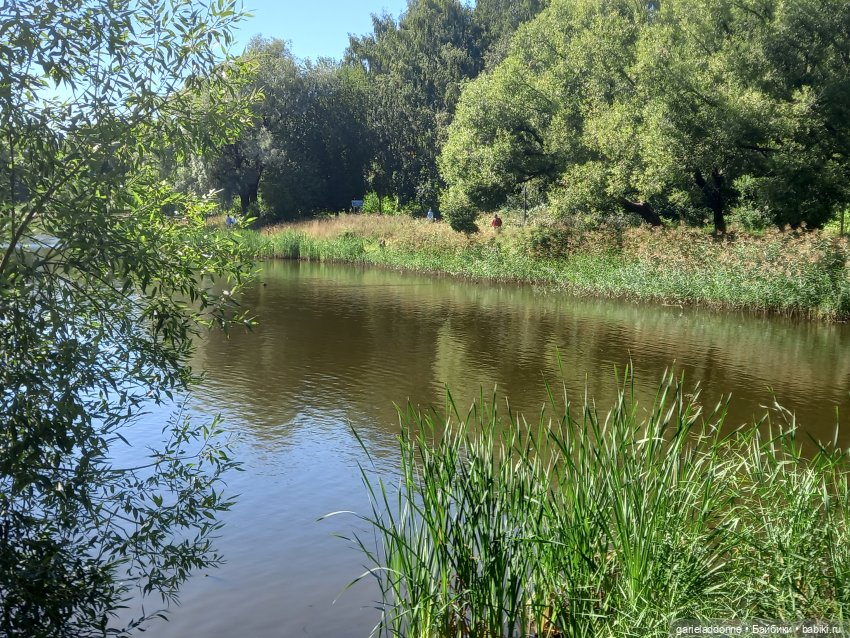 Прогулка по лесу — Зарисовки из кукольной жизни: фотоистории