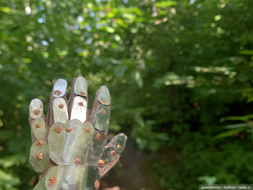 Прогулка по лесу — Зарисовки из кукольной жизни: фотоистории