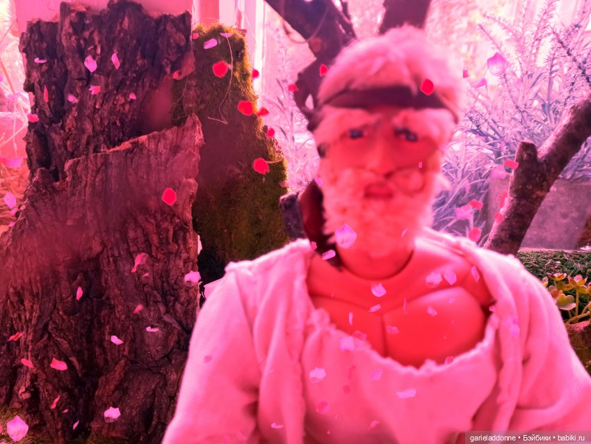 Свадьба — Зарисовки из кукольной жизни: фотоистории