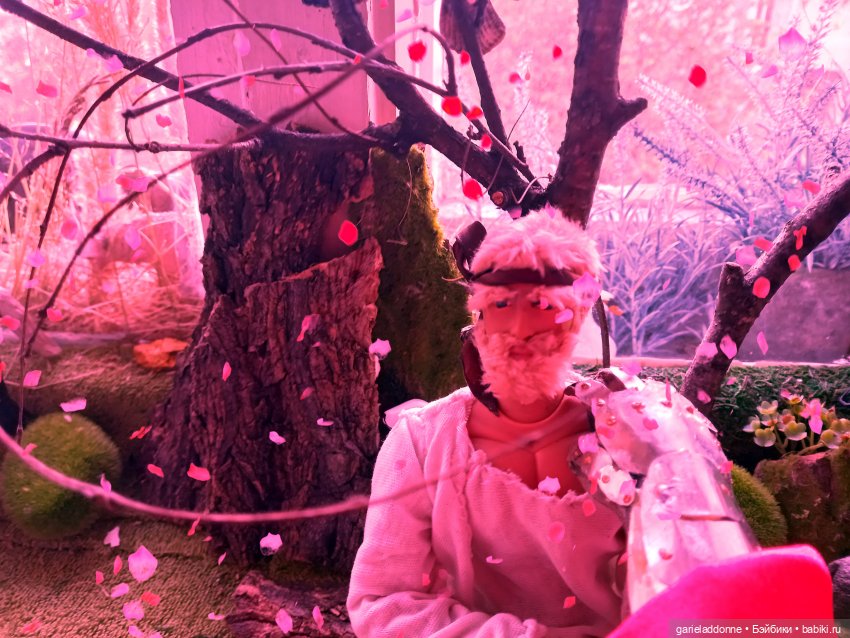 Свадьба — Зарисовки из кукольной жизни: фотоистории