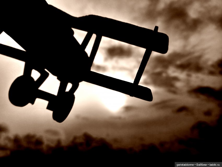 Тайная жизнь 4.0 — Зарисовки из кукольной жизни: фотоистории (фото 3)