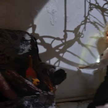 Тени старого дома