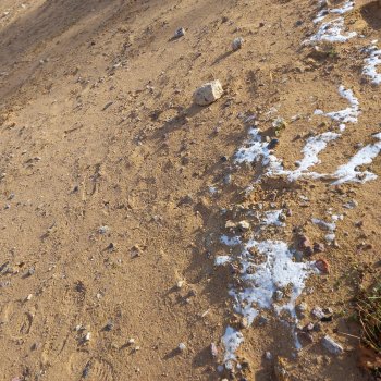 Куандонг. Выше шторма. часть 1