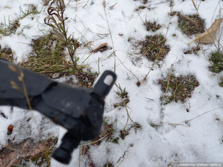 Куандонг - Пробуждение Коры