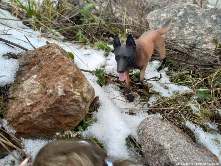 Куандонг - Пробуждение Коры