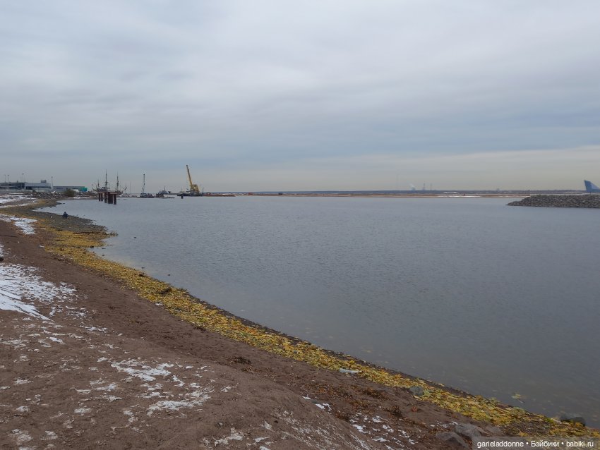 Куандонг - Пробуждение Коры