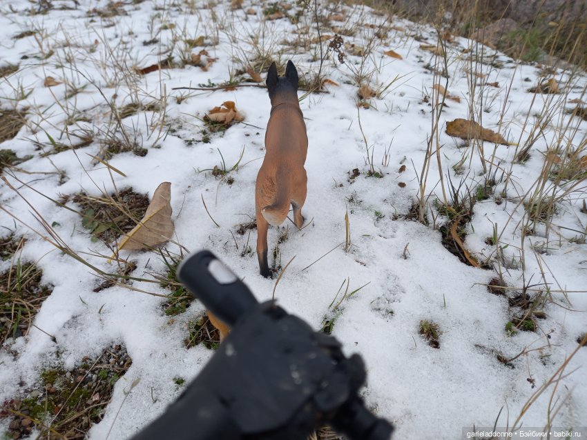 Куандонг - Пробуждение Коры (фото 10)