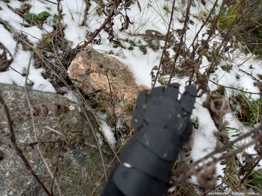 Куандонг - Пробуждение Коры