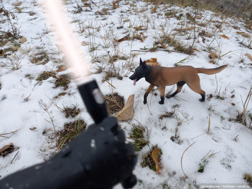 Куандонг - Пробуждение Коры (фото 8)