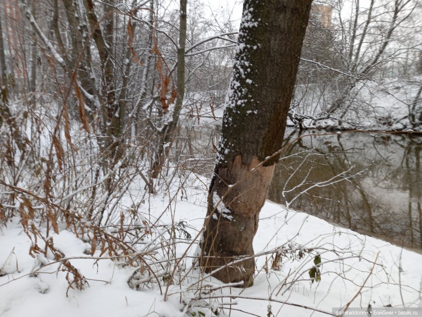 Побег из Куандонга — Зарисовки из кукольной жизни: фотоистории