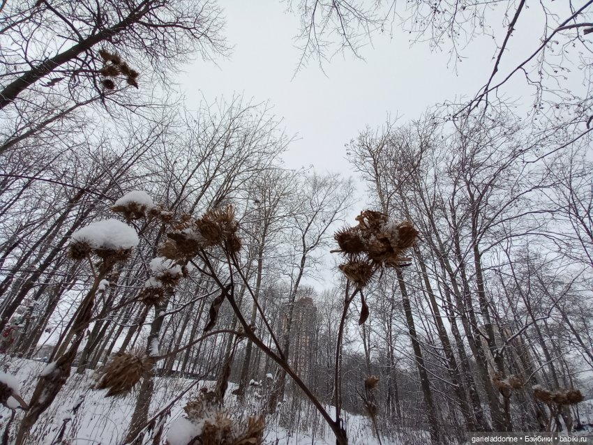 Побег из Куандонга — Зарисовки из кукольной жизни: фотоистории