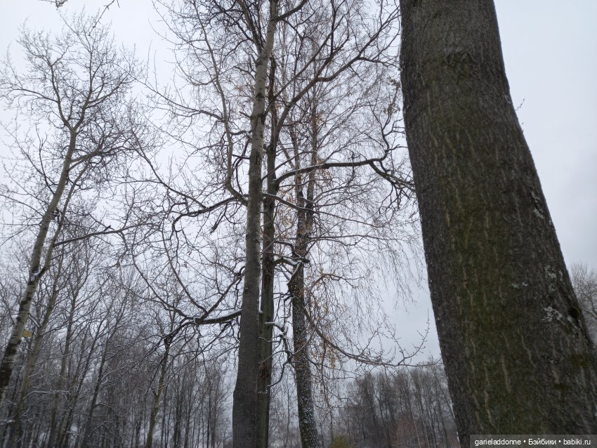 Побег из Куандонга — Зарисовки из кукольной жизни: фотоистории
