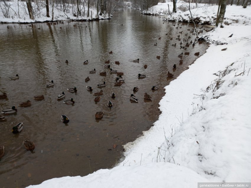 Побег из Куандонга — Зарисовки из кукольной жизни: фотоистории