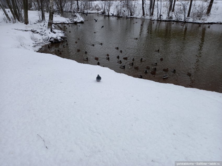 Побег из Куандонга — Зарисовки из кукольной жизни: фотоистории