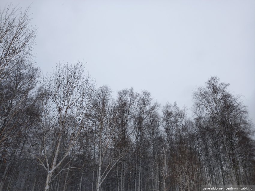 Побег из Куандонга — Зарисовки из кукольной жизни: фотоистории