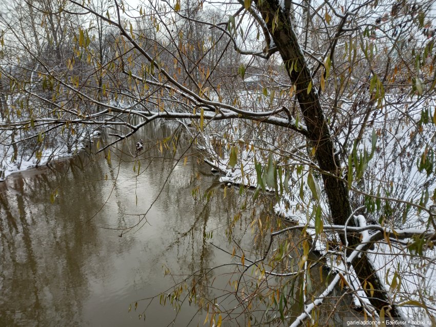Побег из Куандонга — Зарисовки из кукольной жизни: фотоистории