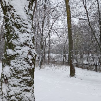 Побег из Куандонга