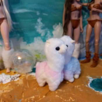 Дикая природа и циклон