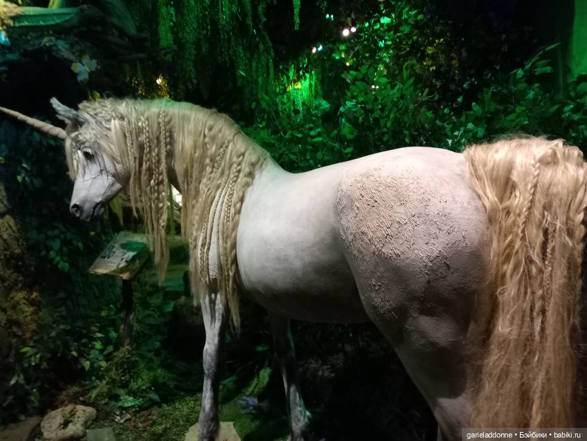 Мистический Йоль Коры — Зарисовки из кукольной жизни: фотоистории (фото 7)