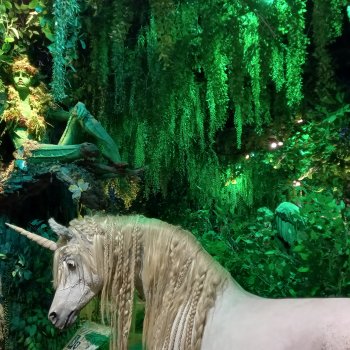 Мистический Йоль Коры