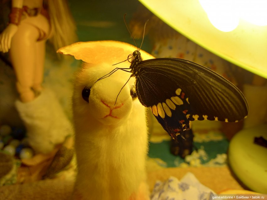 Цветенье редкого цветка — Куклы Integrity Toys (Интегрити): Poppy Parker