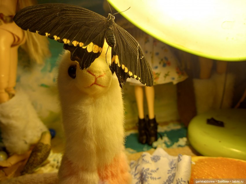 Цветенье редкого цветка — Куклы Integrity Toys (Интегрити): Poppy Parker