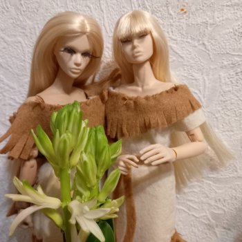 Цветенье редкого цветка