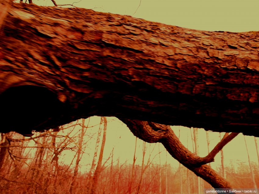 Virbnici 4 серия. Визит — Зарисовки из кукольной жизни: фотоистории