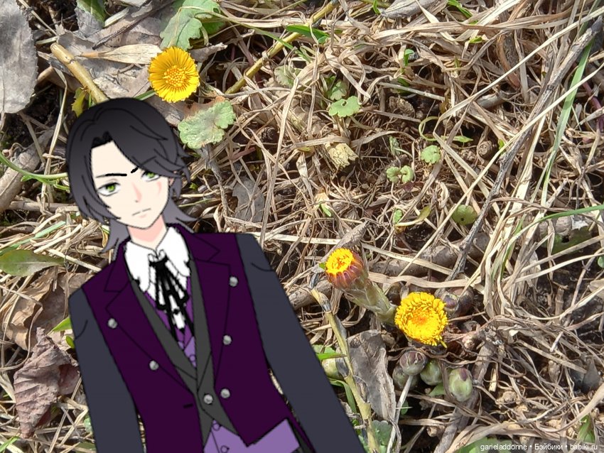 Virbnici 4 серия. Визит — Зарисовки из кукольной жизни: фотоистории