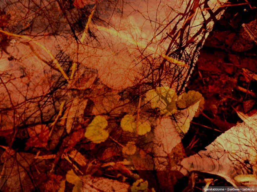 Virbnici 4 серия. Визит — Зарисовки из кукольной жизни: фотоистории