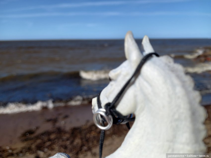 Virbnici 5 серия. Лошади на холмах