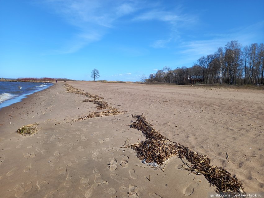 Virbnici 5 серия. Лошади на холмах