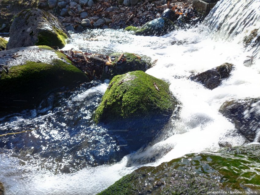 Virbnici 5 серия. Лошади на холмах